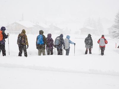 Group of 12 people walking in snow in orderly line towards faint view of houses during snowfall, near Kandersteg, Switzerland