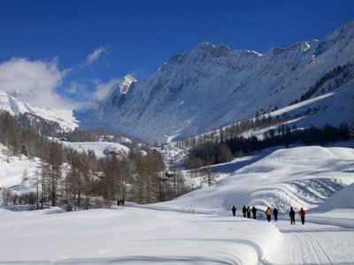Ramble Worldwide walking holiday group walking on snowy path bend towards pine trees and tall snowcapped mountains in Lotschental/Lötschental valley, Switzerland