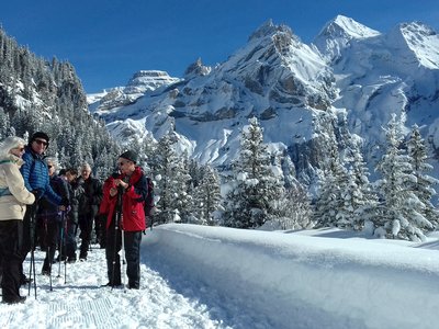 Ramble Worldwide walking group enjoying snow-covered trail in Switzerland near lake Oeschinensee with pine trees and snowcapped mountains towering in background