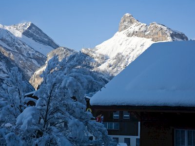 Pine tree and house roof covered in snow with shadows casted on and sun shining onto mountains in distant background, Switzerland