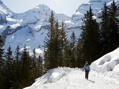 Lady walking in snow on hillside with pine trees and snow-covered mountain behind on sunny day, Switzerland
