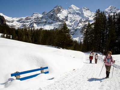 Walkers ascending bend of snow-covered trail with snow-covered mountain jutting out from behind pine trees in the background, Switzerland