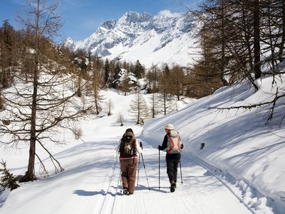 Couple walking along snowy trail with pine trees among the hills and mountain peaking over hill in distance, Fafleralp, Switzerland