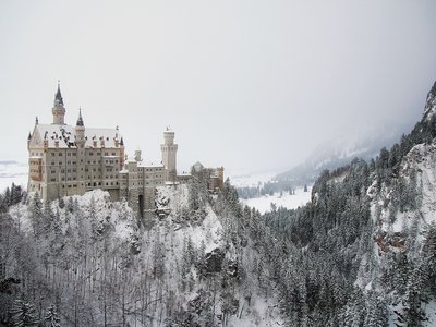 Neuschwanstein castle during winter with pine forests surrounding, Germany