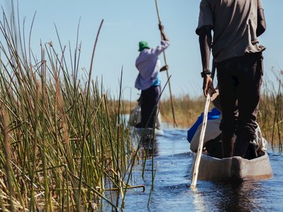 People in mokoro boats moving down Okavango river with tall reeds on both sides, Okanvango delta, Botswana, Africa