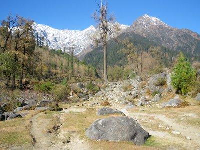 Views of mountains covered in pine trees and snow in Solang Valley, near Manali, Himachal Pradesh, India