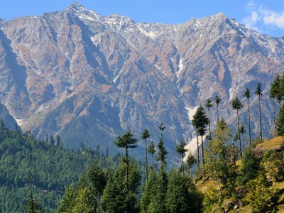 Distant view of large mountains beyond pine woodland, India