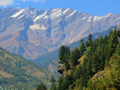 Mountains in distance with pine trees in foreground on edge of cliff on sunny day, India