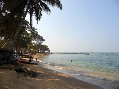 Shaded sandy beach in Sri Lanka, Asia