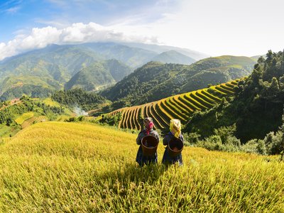 Farmers in rice terrace observing the landscape on sunny day, Vietnam