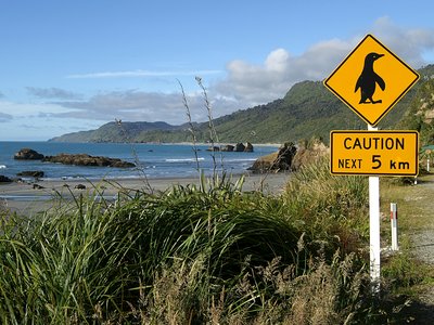 Penguins crossing sign by roadside near sandy beach and coast leading into distance, New Zealand