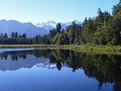 Lake Matheson reflecting mountain and pine trees with clear blue sky in still lake water, New Zealand