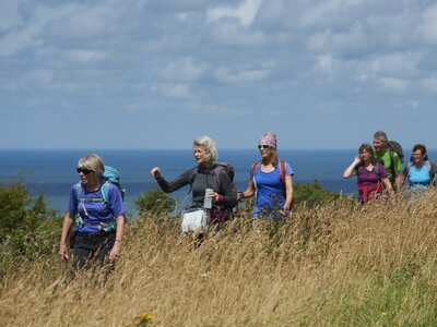 Walking group following pathway amidst tall grass near sea