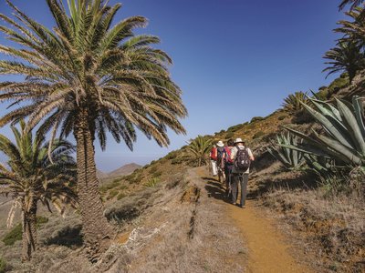 Line of people on Ramble Worldwide walking holiday walking along dirt trail in La Gomera on sunny clear blue sky day with palm trees and century plants growing nearby, canary islands, spain