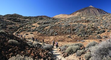 Lanzarote & Tenerife
