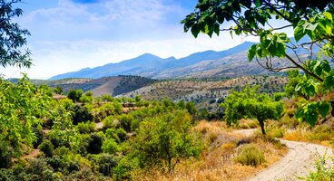 High In The Alpujarras