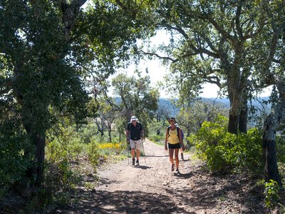 Two ramble worldwide walkers ambling under a canopy of cork oak, Algarve, Portugal