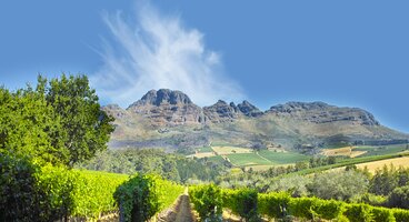 South Africa: Walks along the Garden Route