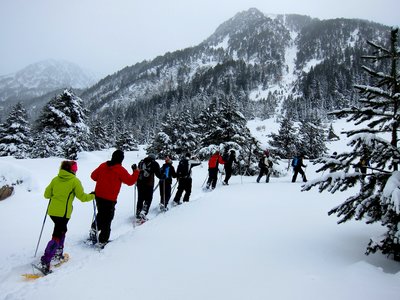 Group of people snowshoeing in Spanish Pyrenees ascending slope with mountain ahead of them covered in pine trees and mist, Catalonia, Spain