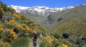 Andalucian Trails