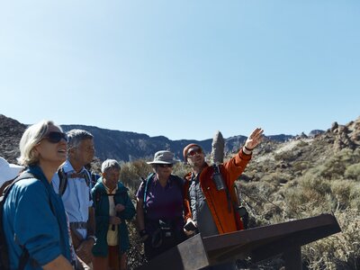 Local guide in front of information board pointing up high with group of walkers looking in same direction, Tenerife, Spain