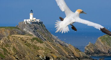 Orkney & Shetland Islands