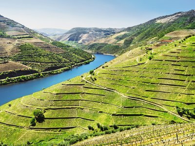 Douro Valley. Vineyards and landscape near Pinhao town, Portugal