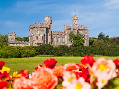 Blurred red and pink rose flowersin foreground with Lews Castle in background on sunny day with blue skies, Stornoway, Scotland