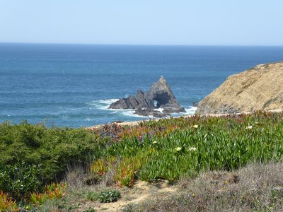 Rocky outcrop in the sea and diverse vegetation along the shoreline of Portugal's Atlantic coast