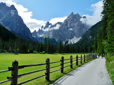 Walking pathway among green fields and tall pine trees in Dobbiaco leading into the Dolomites mountain range in Italy