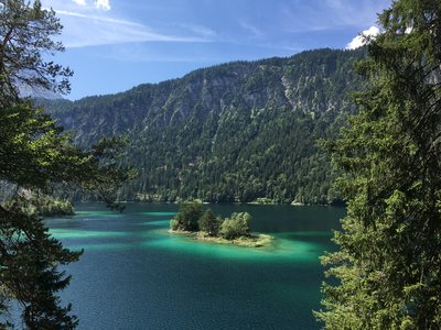 Eibsee lake framed between two pine trees with small island in centre and mountain edge in background on sunny day, Bavaria, Germany