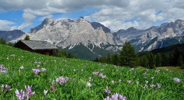 Due Settimane in the Dolomites