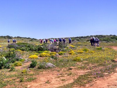 Group of walkers passing flowering bushes in countryside of Algarve, Portugal