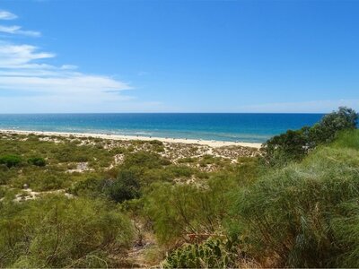 Beach view at altura monte gordo with green bushes in foreground, Portugal