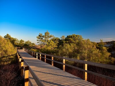 Wooden deck path leading towards greenspace in Monte Gordo, Portugal