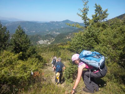 Hiking group descending Greek mountain amidst shrubs and pine trees on sunny day