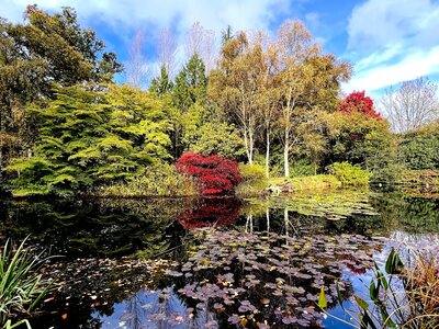 Colourful foliage across lake in RHS Garden Rosemoor, Devon