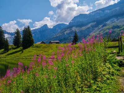 A beautiful view of Les Diablerets in the lake of retaud in Valais in Switzerland