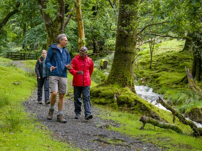 Walkers outdoors following Cumbria Way downstream in Borrowdale Valley, Lake District, England