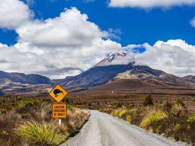 Kiwi sign next to road with Mount Ngauruhoe in background, Tongariro. New Zealand
