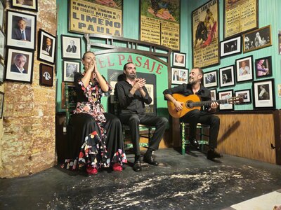 Flamenco performance at Tabanco El Pasaje, Jerez