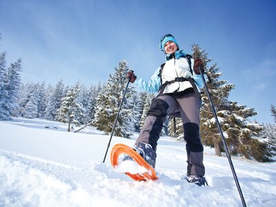 Low angle looking up of woman snowshoeing through snow-covered pine forest on sunny day