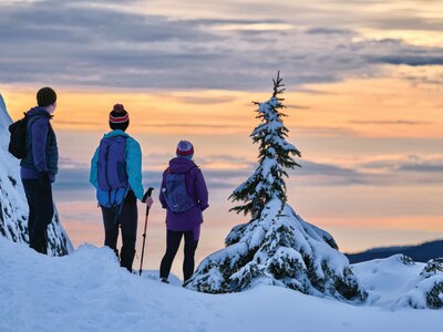 Trio of people snowshoeing pausing amongst snow-covered pine trees to watch sunset in Mt Seymour, Vancouver, Canada
