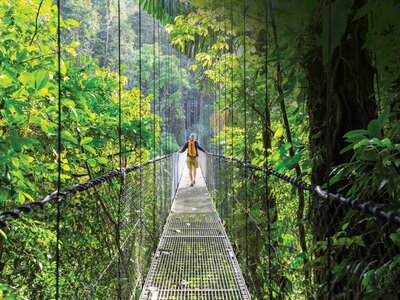 Person walking on suspension bridge within luscious green rainforest, Costa Rica, Central America