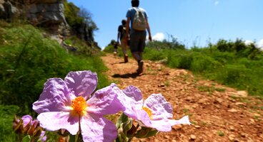 Portugal's Algarve Way & Wild Atlantic