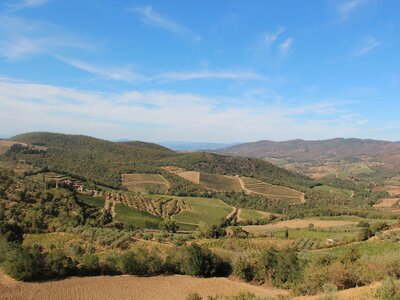 View of green landscape on sunny day, Chianti, Tuscany