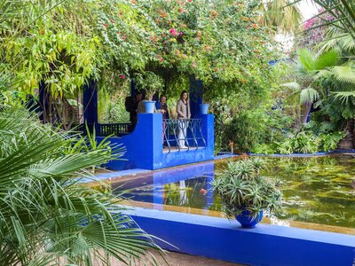 People standing beneath flowering tree on platform whilst viewing pond in Jardin Majorelle botanical Gardens Marrakech, Morocco