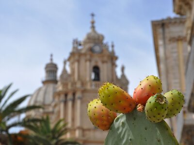 Close up of prickly pear in front of duomo san giorgio at piazza pola, Ragusa Ibla, Italy