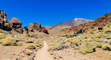 Tenerife & Lanzarote