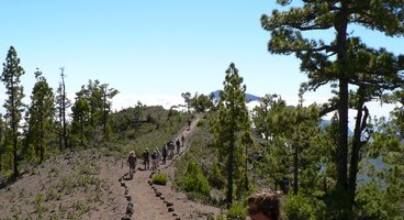 Tenerife & La Palma